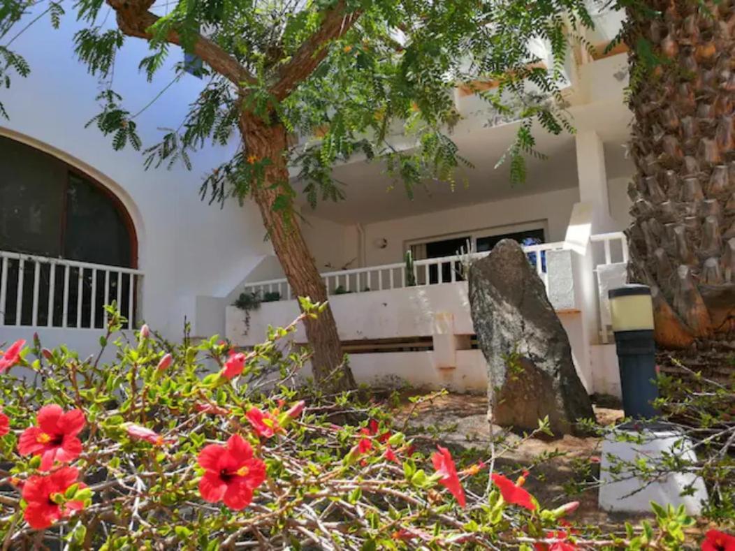 Comfortable Cleo Apartment With Large Terrace Costa Teguise Exteriör bild