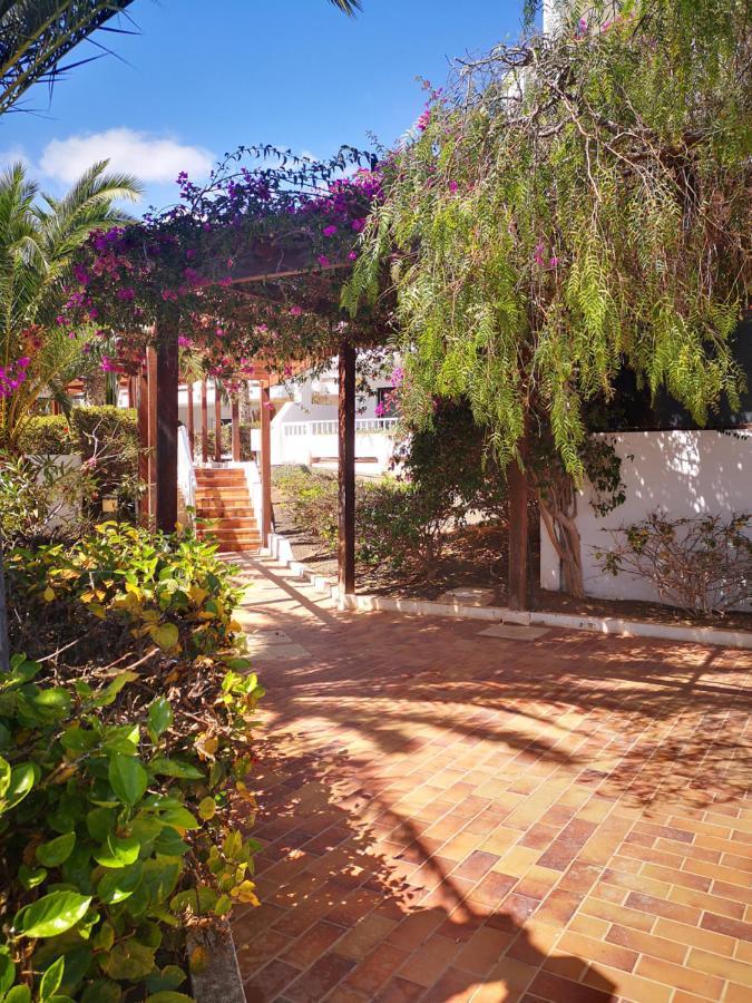 Comfortable Cleo Apartment With Large Terrace Costa Teguise Exteriör bild