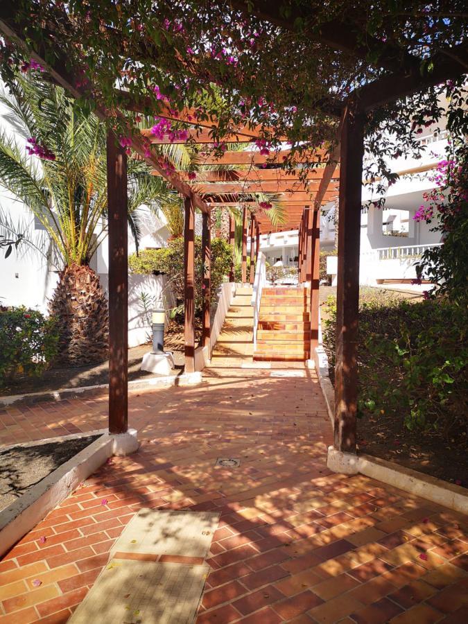 Comfortable Cleo Apartment With Large Terrace Costa Teguise Exteriör bild